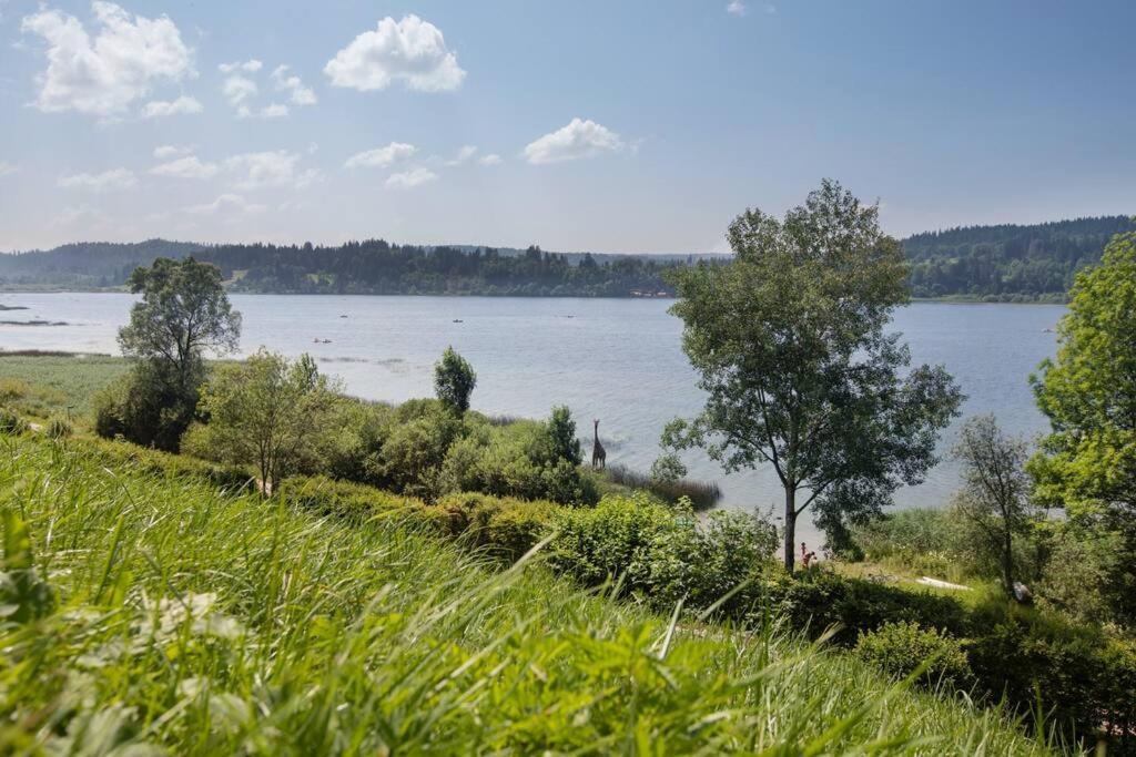Duplex Le Reflet Du Lac Malbuisson Exterior photo